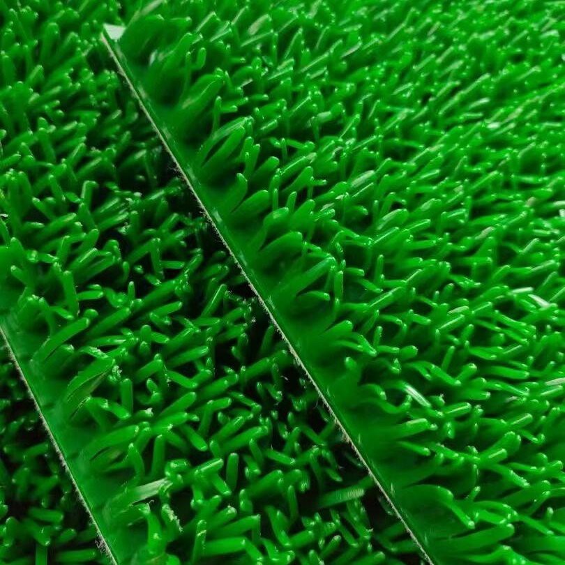 Gold Rush Grass / Gold Capturing Mat (Taojin Grass)